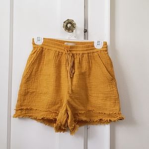 Anthropology Saturday Sunday Shorts